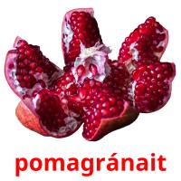 pomagránait ansichtkaarten