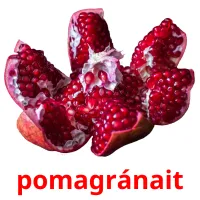 pomagránait picture flashcards