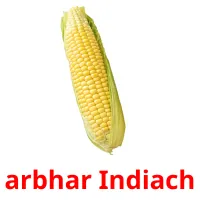 arbhar Indiach карточки энциклопедических знаний