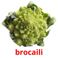 brocaili карточки энциклопедических знаний