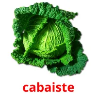 cabaiste карточки энциклопедических знаний