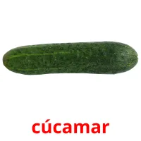 cúcamar карточки энциклопедических знаний