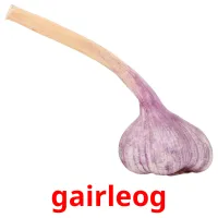 gairleog карточки энциклопедических знаний