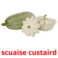 scuaise custaird карточки энциклопедических знаний