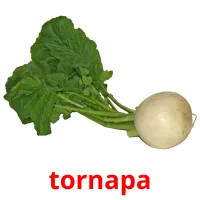 tornapa карточки энциклопедических знаний