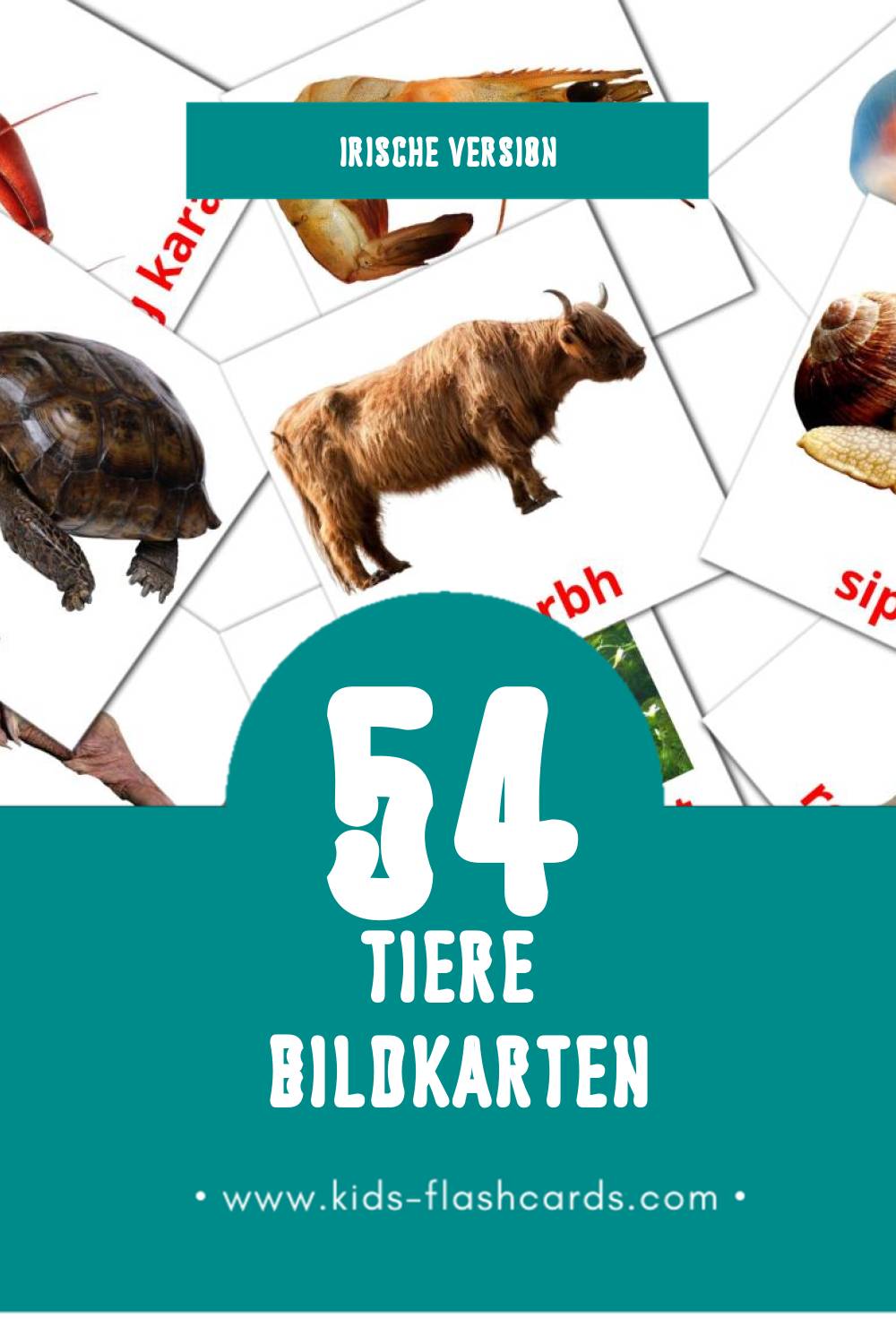 Visual ainmhithe Flashcards für Kleinkinder (25 Karten in Irisch)