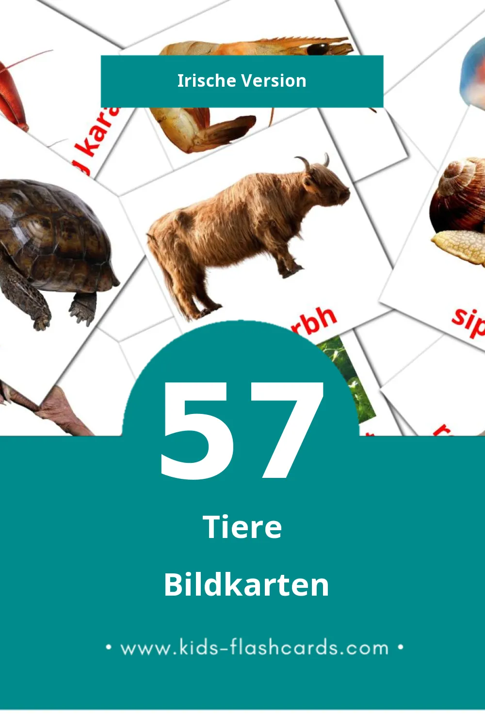 Visual ainmhithe Flashcards für Kleinkinder (57 Karten in Irisch)