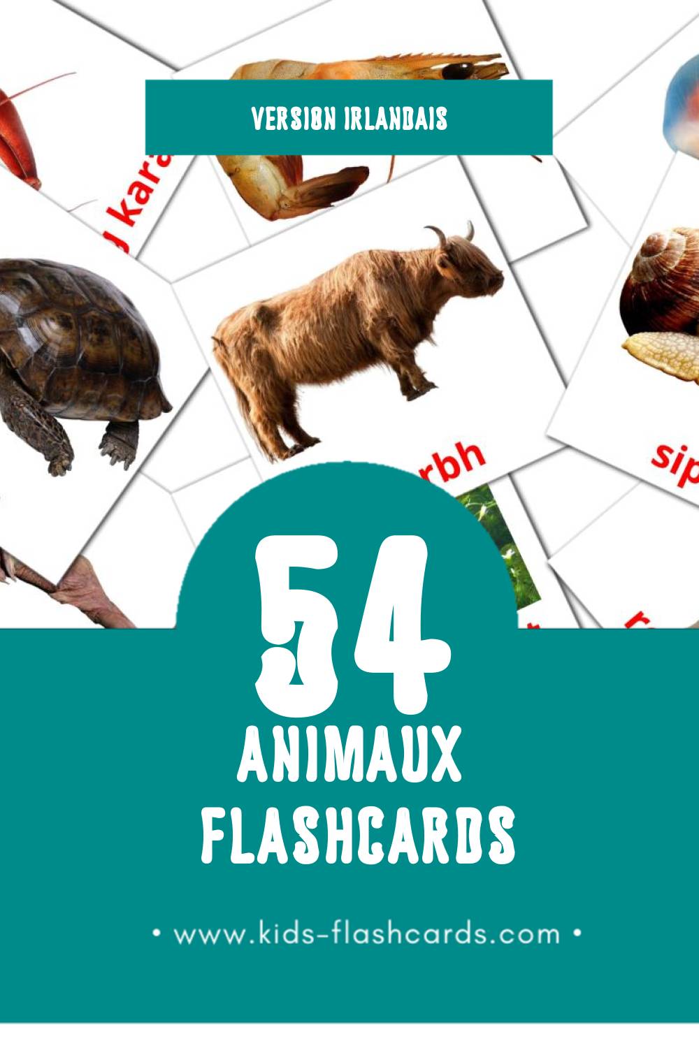 Flashcards Visual ainmhithe pour les tout-petits (25 cartes en Irlandais)