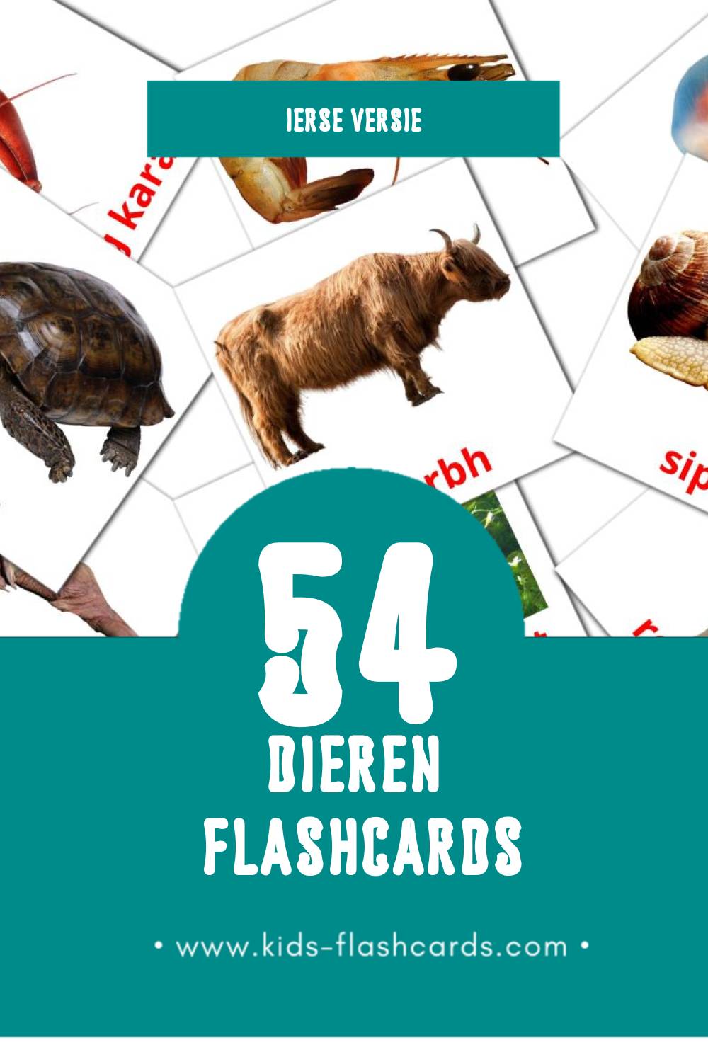 Visuele ainmhithe Flashcards voor Kleuters (54 kaarten in het Iers)