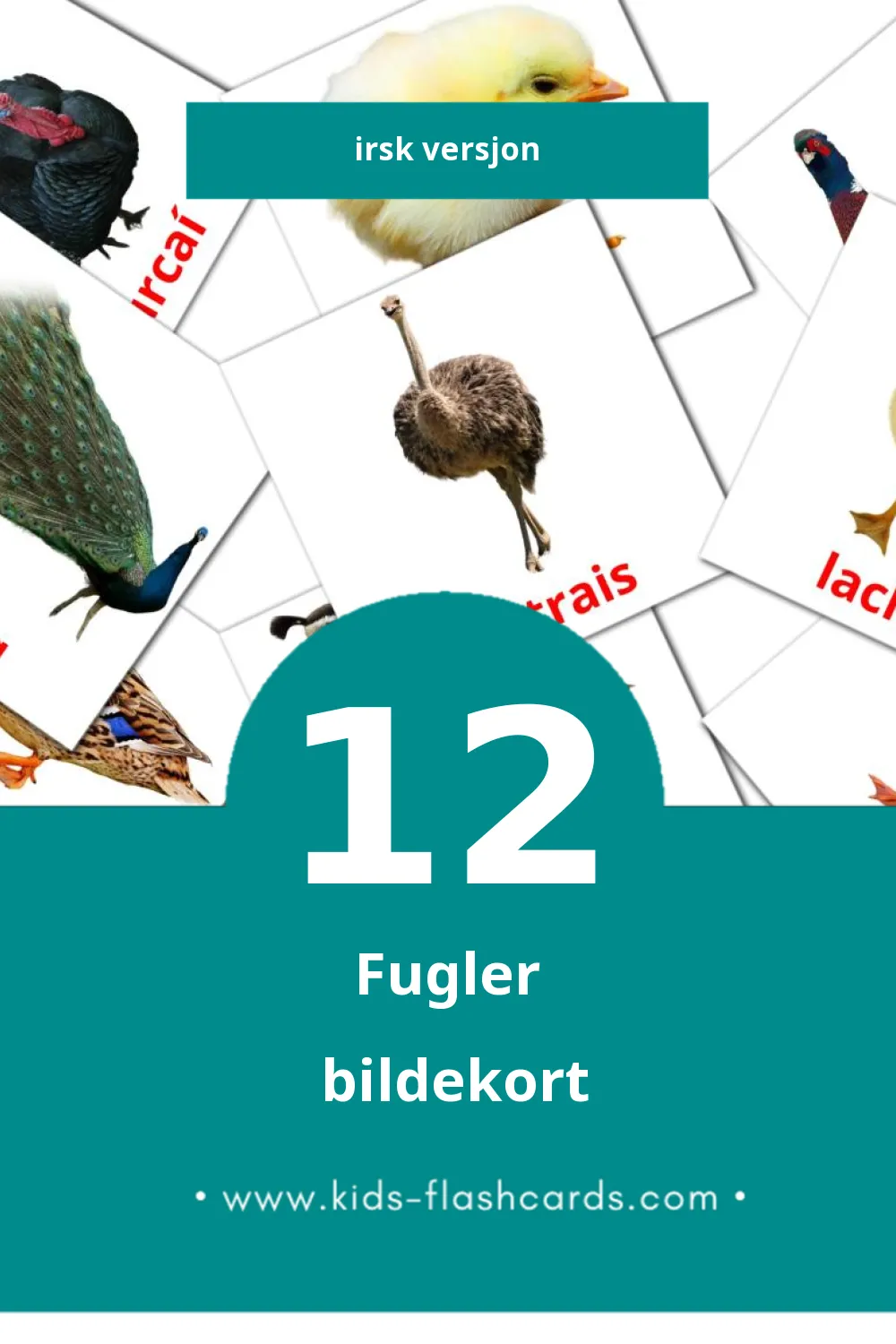 Visuelle Éin bildekort for småbarn (12 kort på Irsk)