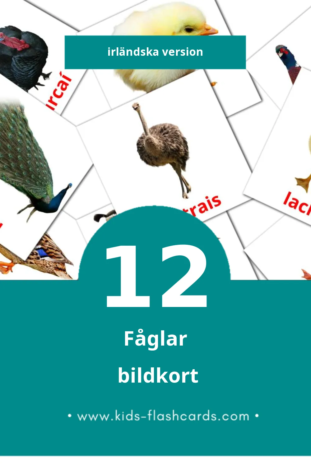 Visuella Éin för småbarn (12 bildkort för barn på Irländska)