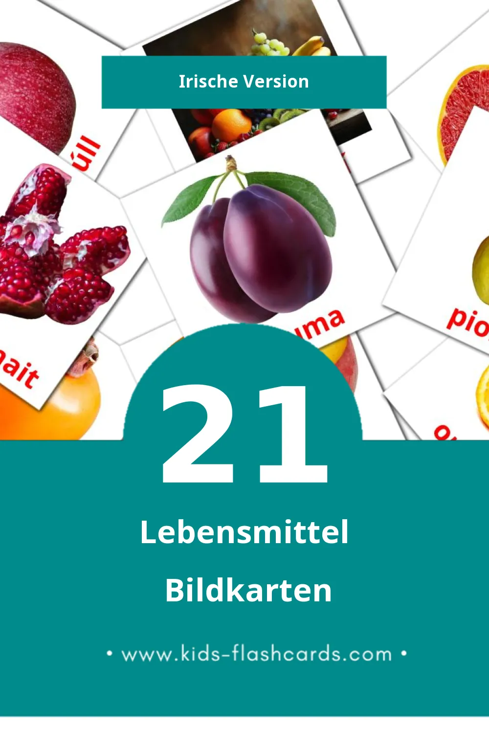 Visual Bia Flashcards für Kleinkinder (21 Karten in Irisch)