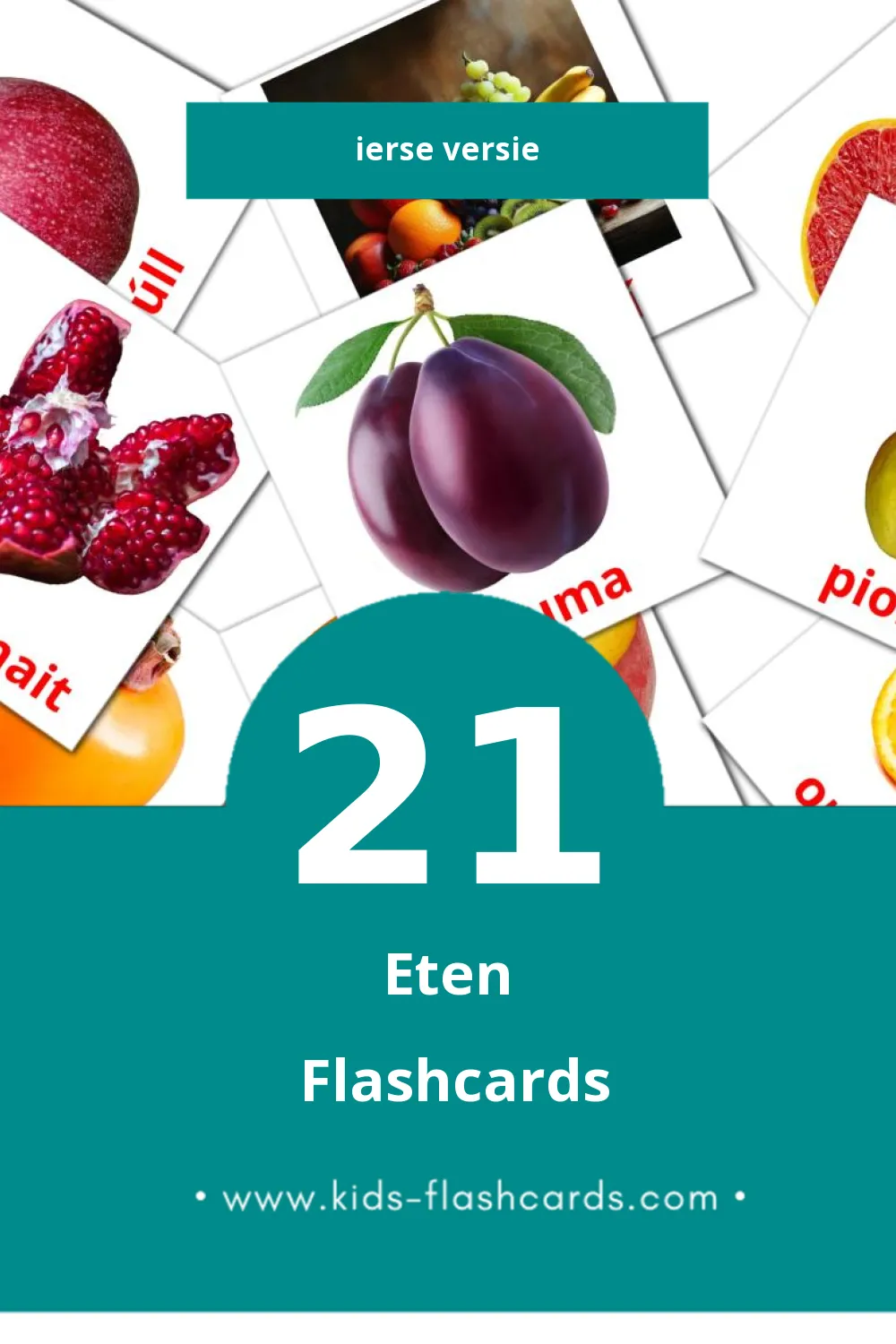 Visuele Bia Flashcards voor Kleuters (21 kaarten in het Iers)