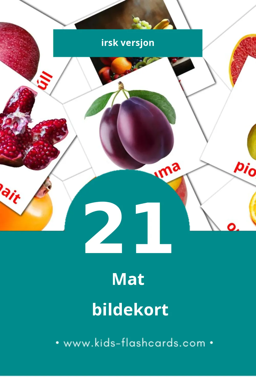 Visuelle Bia bildekort for småbarn (21 kort på Irsk)