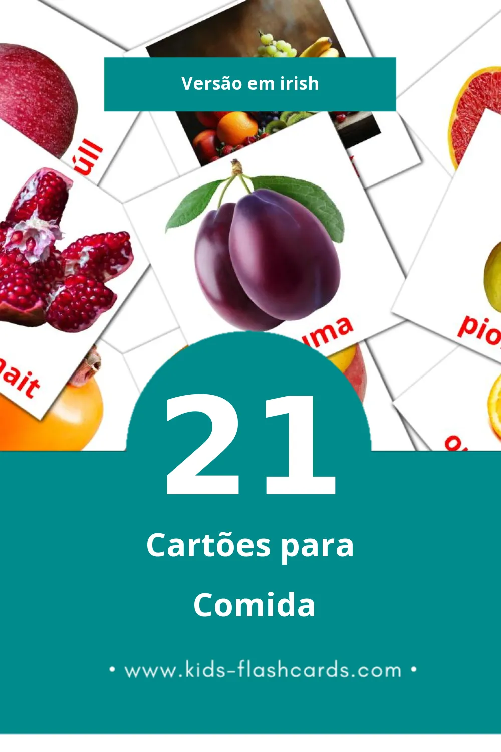 Flashcards de Bia Visuais para Toddlers (21 cartões em Irish)