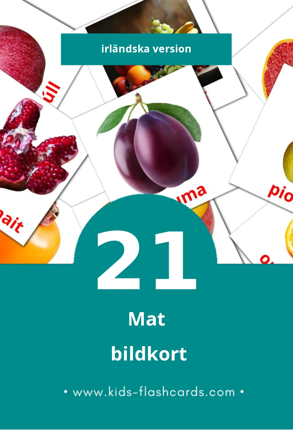Visuella Bia för småbarn (21 bildkort för barn på Irländska)