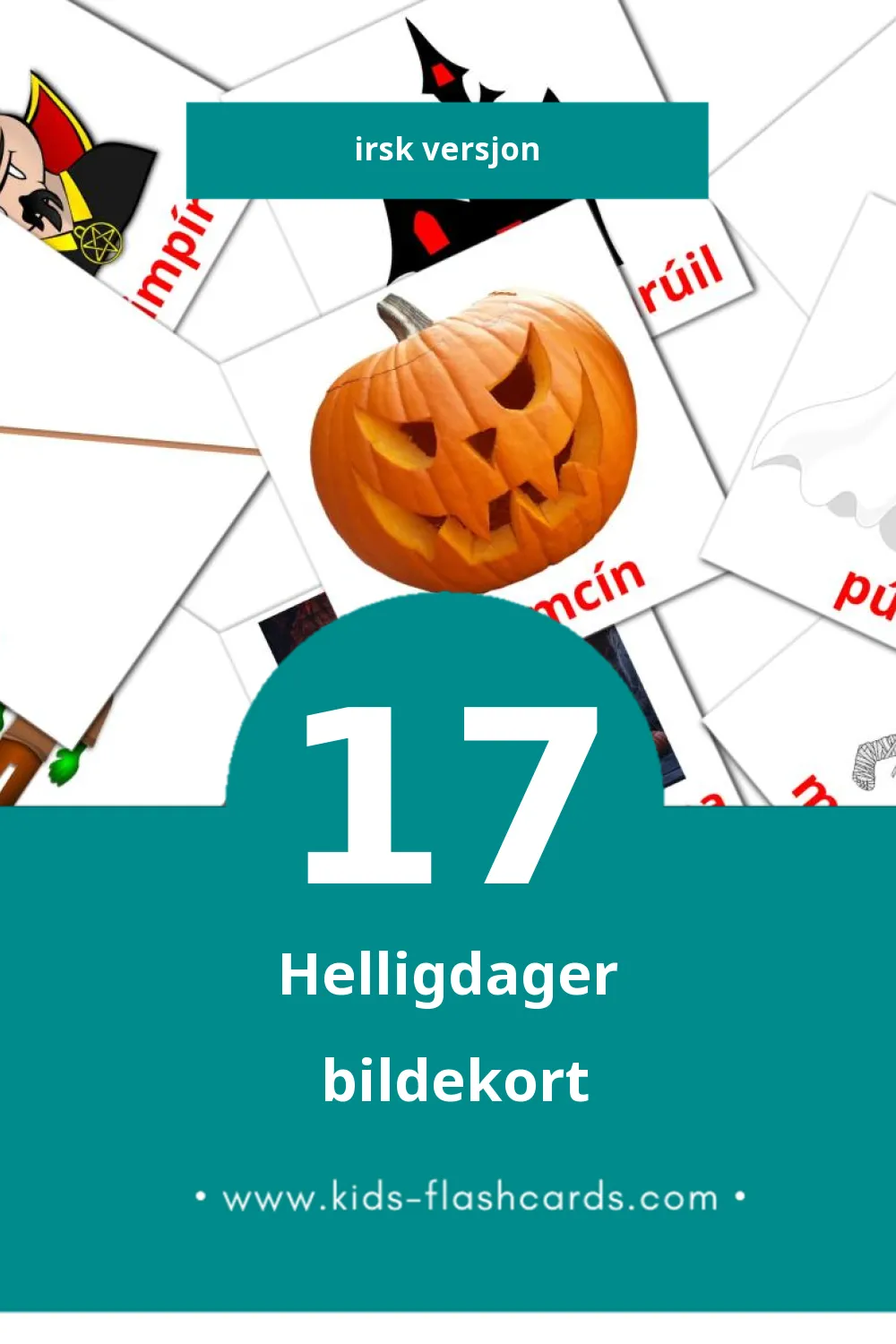 Visuelle Ocaidí Speisialta bildekort for småbarn (17 kort på Irsk)