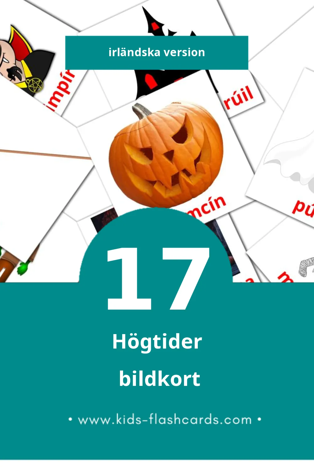 Visuella Ocaidí Speisialta för småbarn (17 bildkort för barn på Irländska)