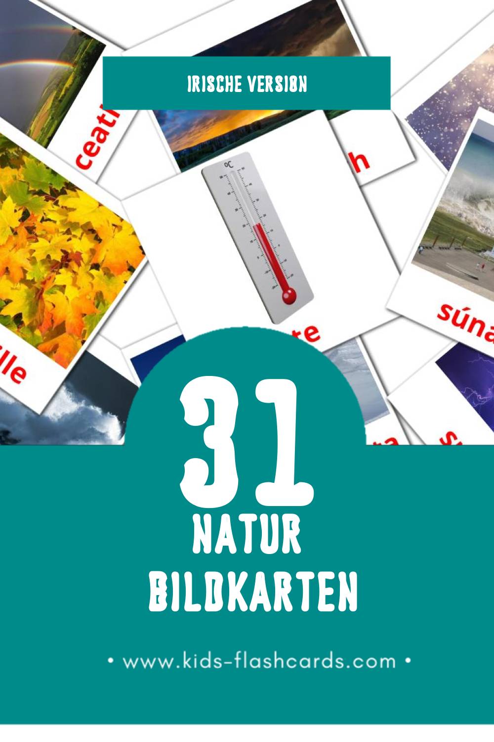 Visual Nádúr Flashcards für Kleinkinder (31 Karten in Irisch)