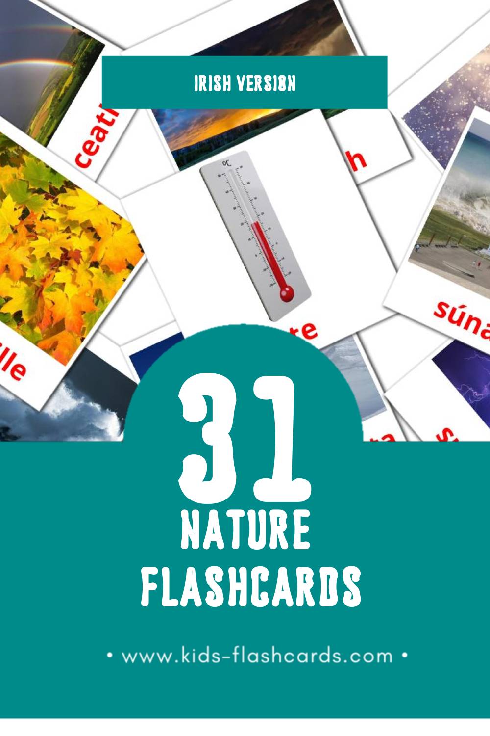 Visual Nádúr Flashcards for Toddlers (31 cards in Irish)