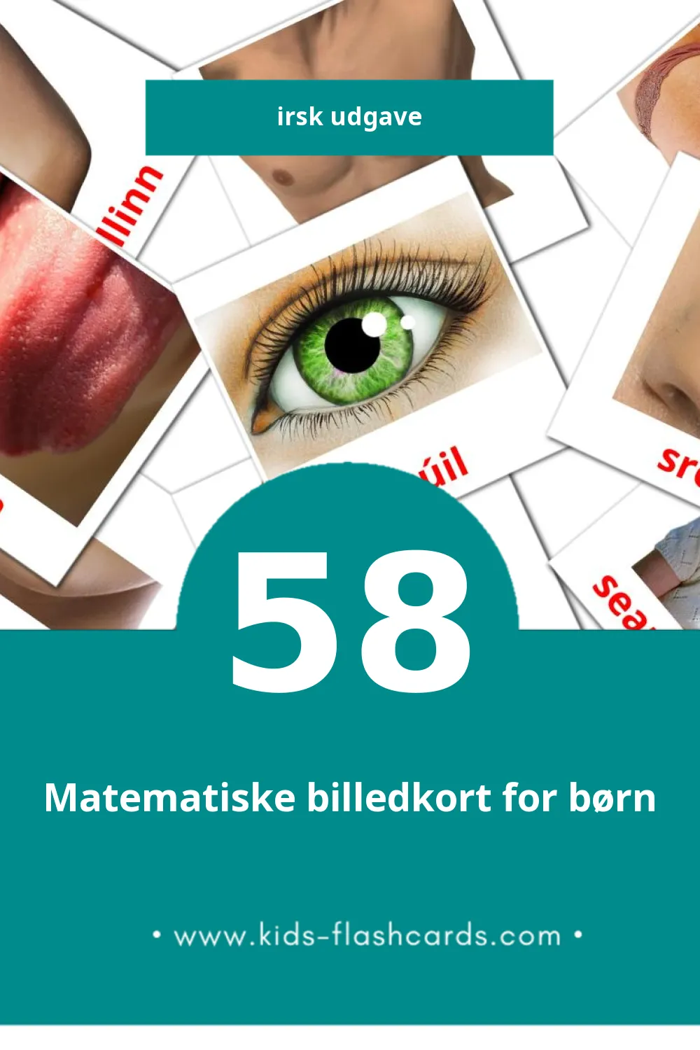 Visuelle billedkort for børn om Daoine til småbørn (58 kort på Irsk)