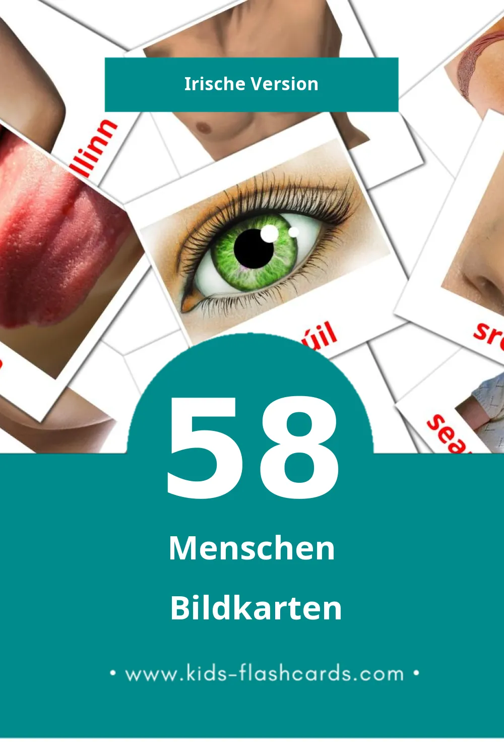 Visual Daoine Flashcards für Kleinkinder (58 Karten in Irisch)