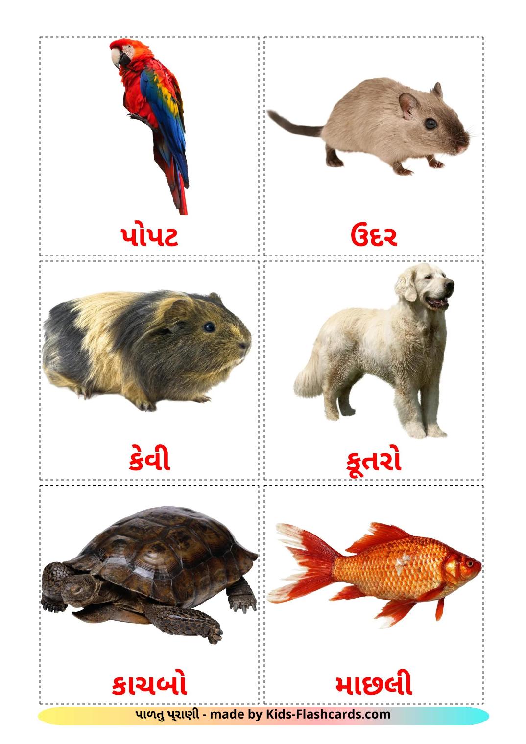 Animales Domésticos - 11 fichas de gujarati para imprimir gratis 