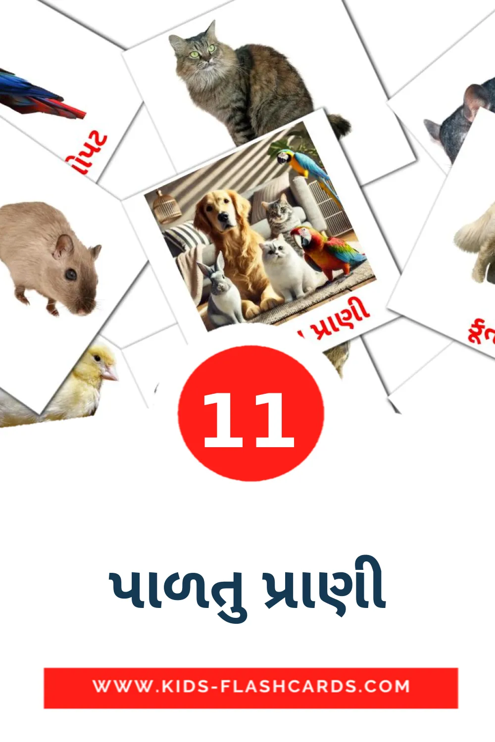 11 tarjetas didacticas de પાળતુ પ્રાણી para el jardín de infancia en gujarati