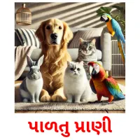 પાળતુ પ્રાણી Tarjetas didacticas