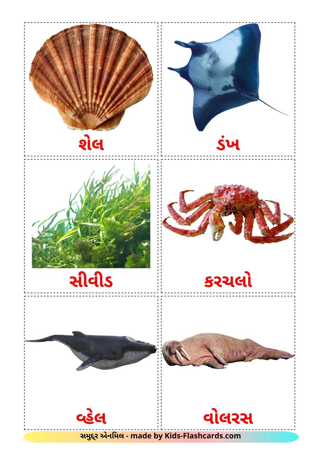 Animali marini - 30 flashcards gujarati stampabili gratuitamente