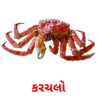 કરચલો ansichtkaarten