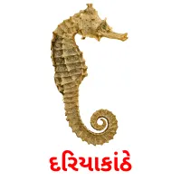 દરિયાકાંઠે flashcards illustrate