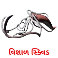 વિશાળ સ્ક્વિડ flashcards illustrate