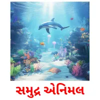 સમુદ્ર એનિમલ flashcards illustrate