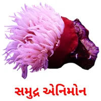 સમુદ્ર એનિમોન ansichtkaarten