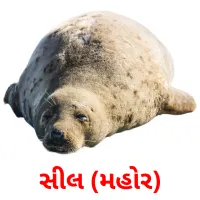 સીલ (મહોર) flashcards illustrate