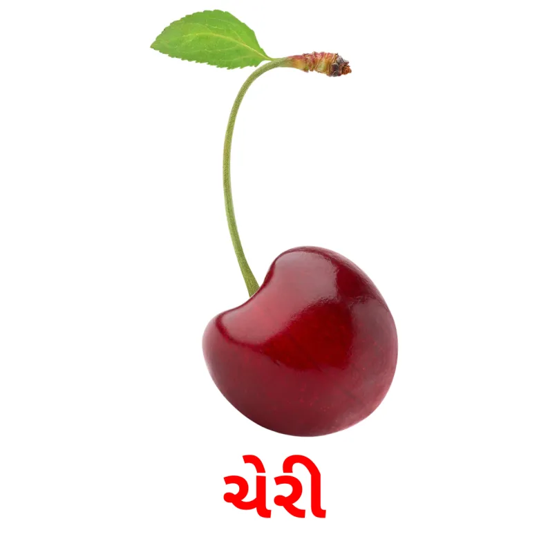11 FREE Berries Flashcards PDF Gujarati Words