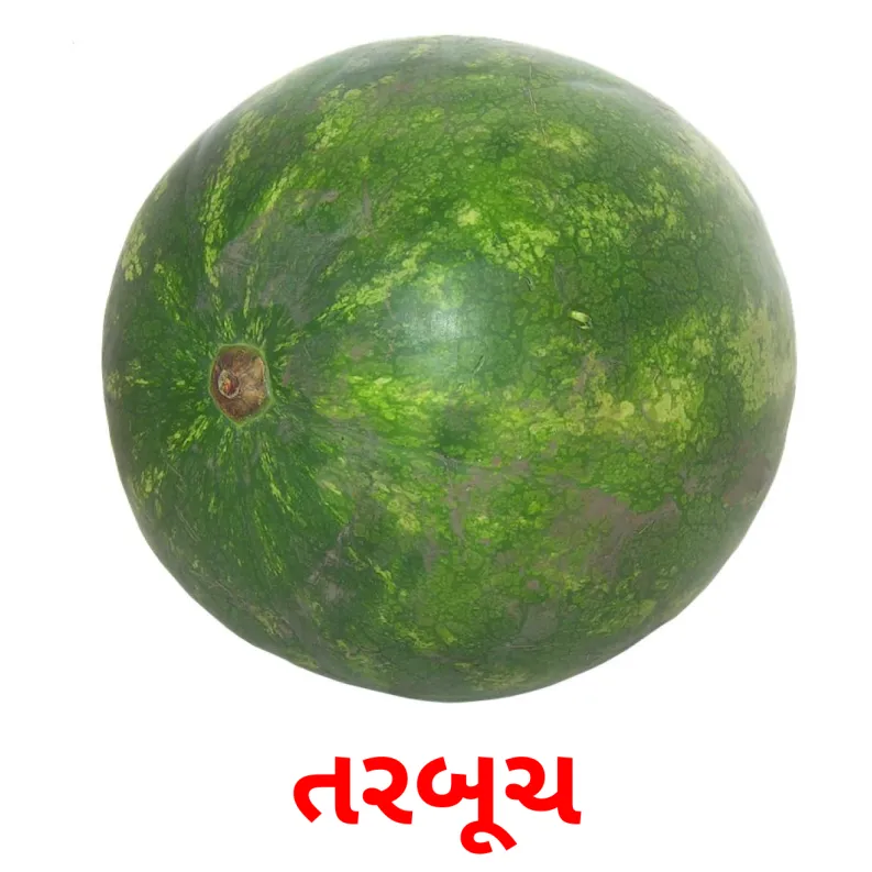 11 FREE Berries Flashcards PDF Gujarati Words
