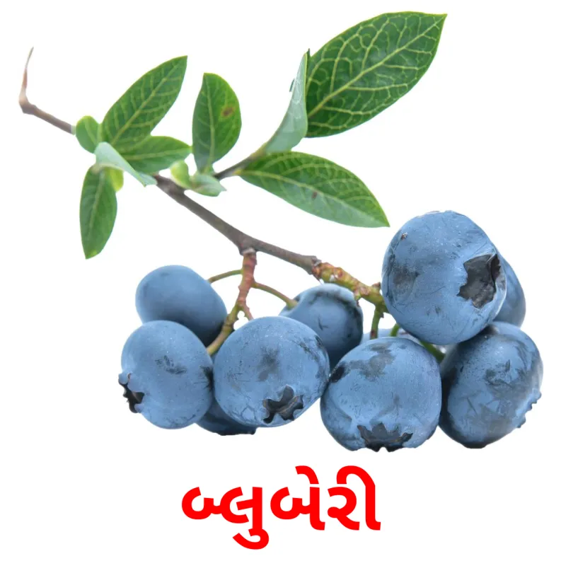 11 FREE Berries Flashcards PDF Gujarati Words