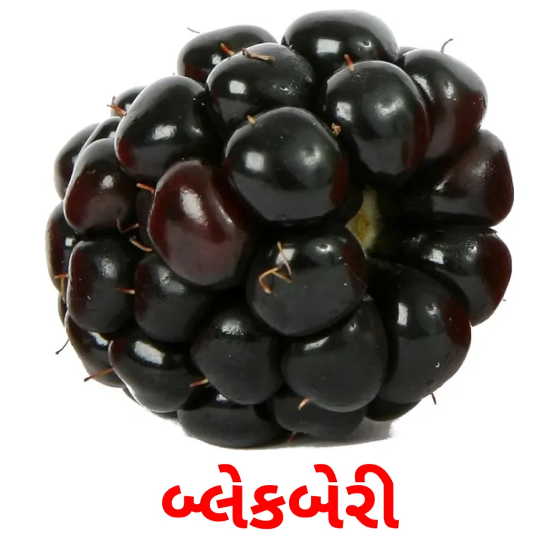 11 FREE Berries Flashcards PDF Gujarati Words