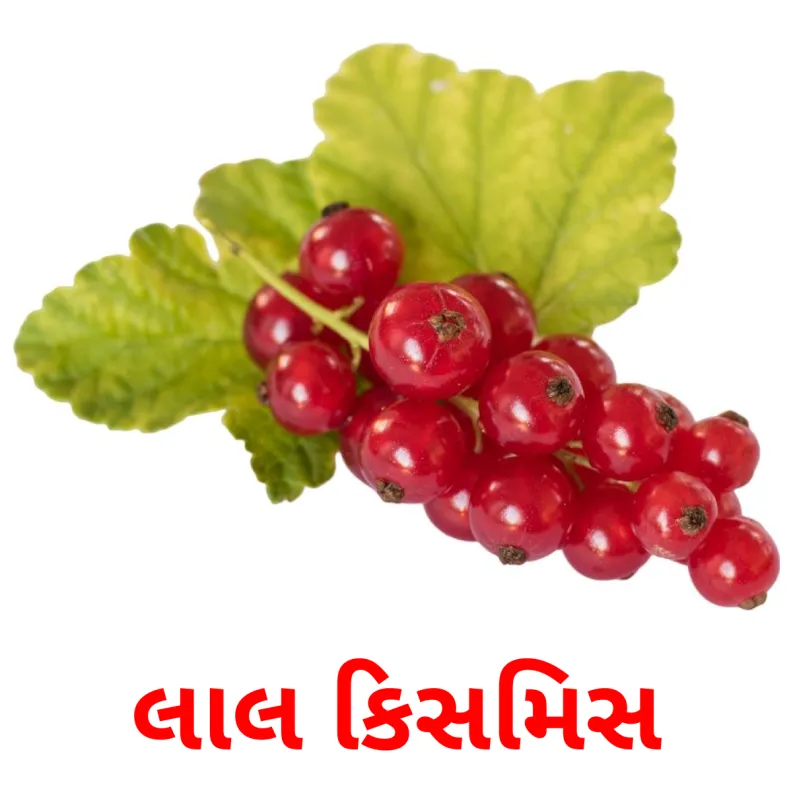 11 FREE Berries Flashcards PDF Gujarati Words