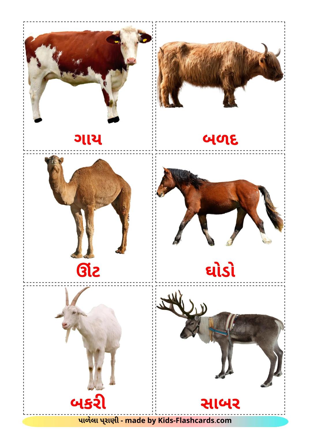 Farm animals - 16 Free Printable gujarati Flashcards 