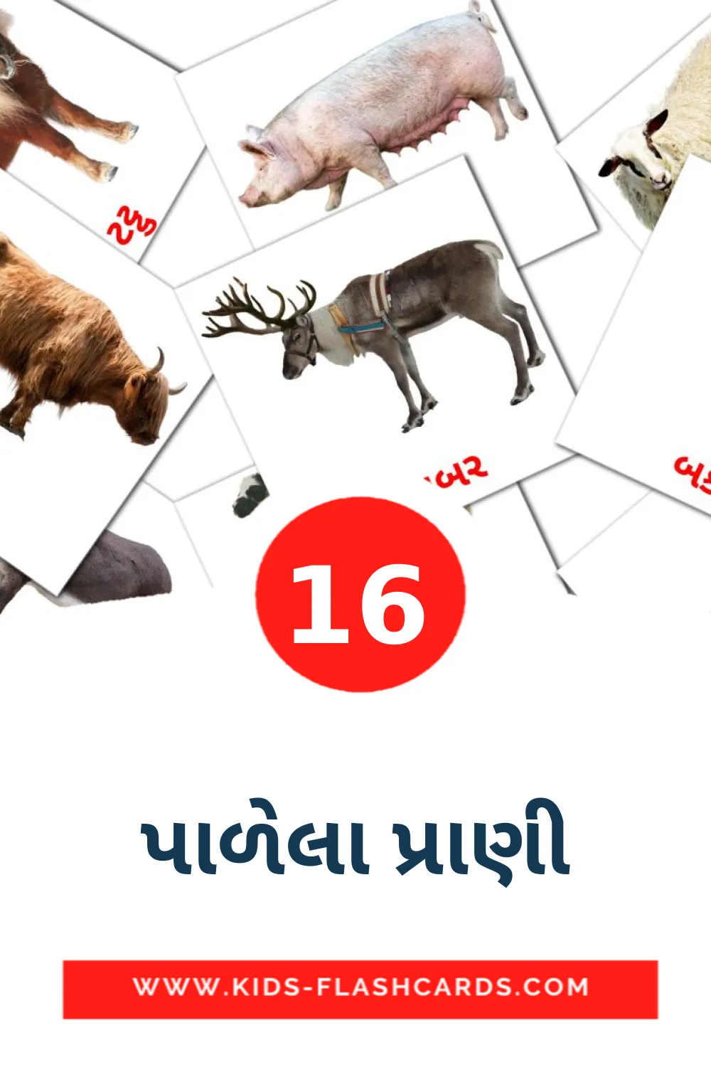 16 પાળેલા પ્રાણી Picture Cards for Kindergarden in gujarati