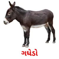 ગધેડો picture flashcards