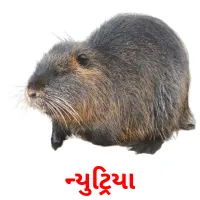 ન્યુટ્રિયા picture flashcards