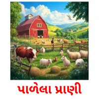 પાળેલા પ્રાણી picture flashcards