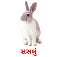 સસલું picture flashcards