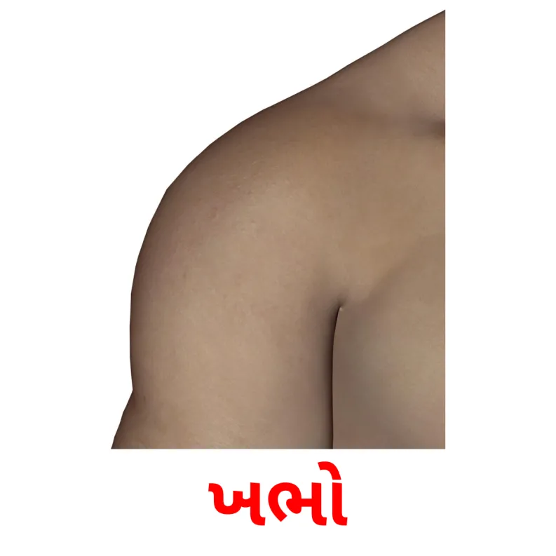 26 FREE Body Parts Flashcards PDF Gujarati Words