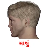 માથું ansichtkaarten