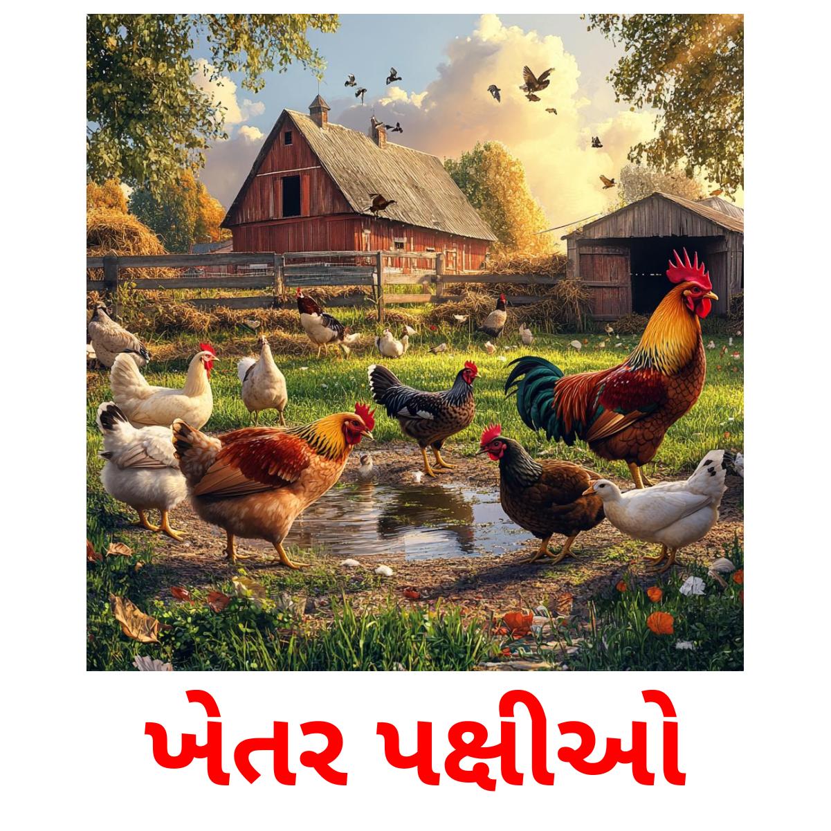 ખેતર પક્ષીઓ picture flashcards